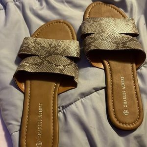 The shoes were tried on and wore around the house. Never worn outside.